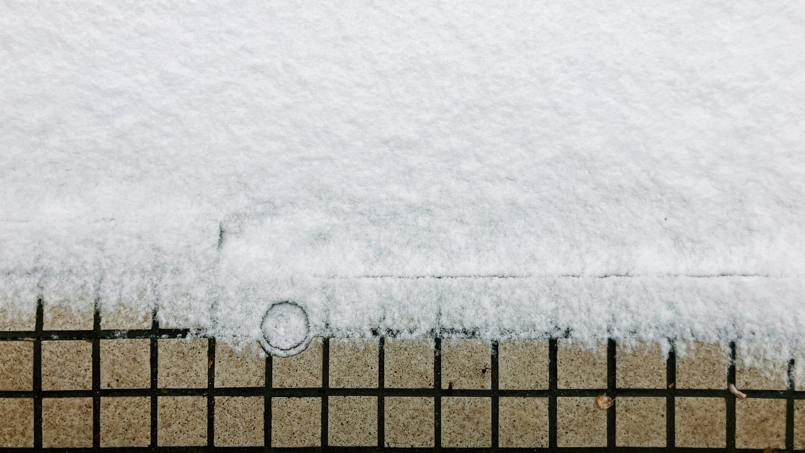 Processed with VSCO with l4 preset